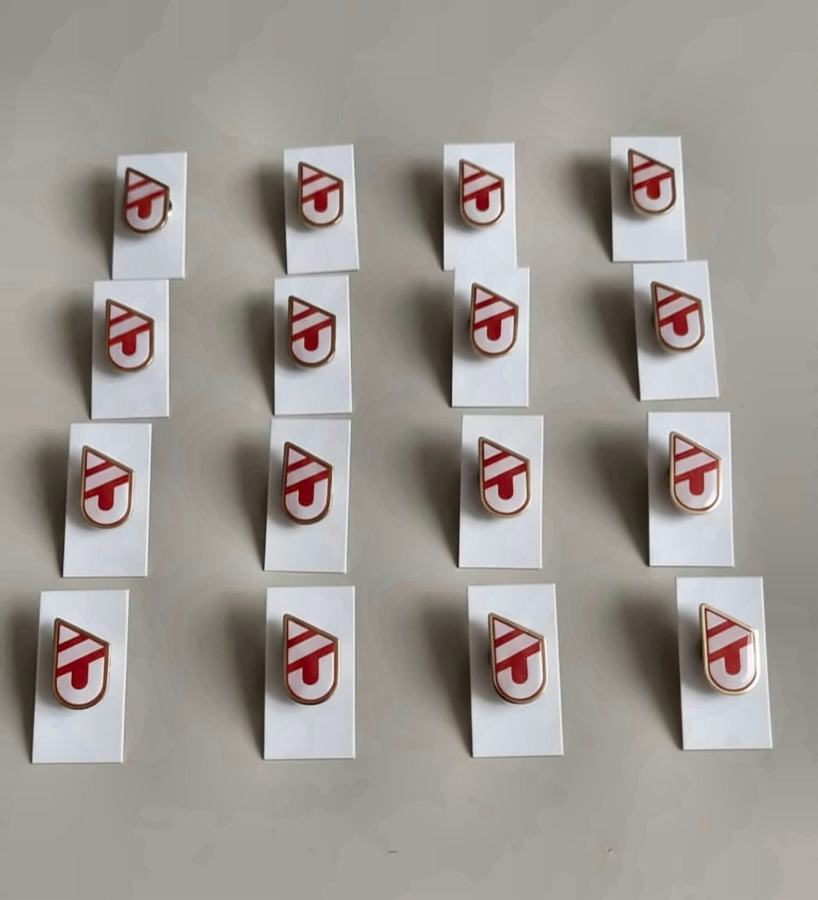 Hard Enamel Lapel Pins